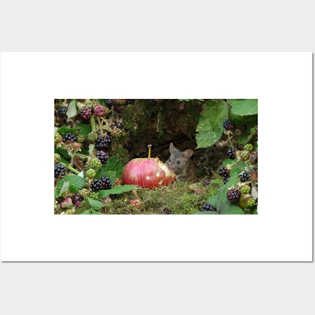 Mouse by the brambles with apple Wall Art by Simon-dell